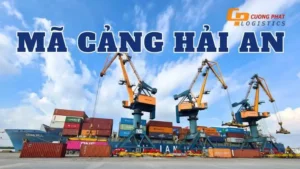 Phân tích xu hướng giao thông tại cảng Hải An